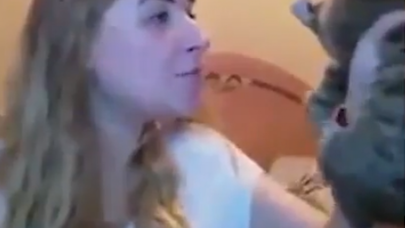 В Москве пьяная женщина жестоко избила кота за порванные шторы