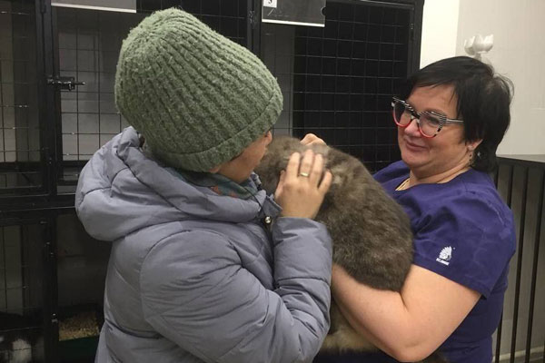 История кошки Ваты: спасение и новая жизнь в Дмитрове