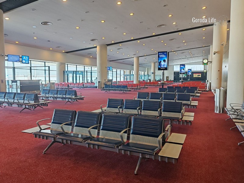 Рейс из Пулково задержали из-за сообщения о «бомбе» у беременной пассажирки