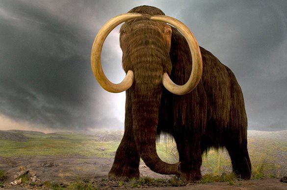 Кости мамонта выдали истинный возраст человечества