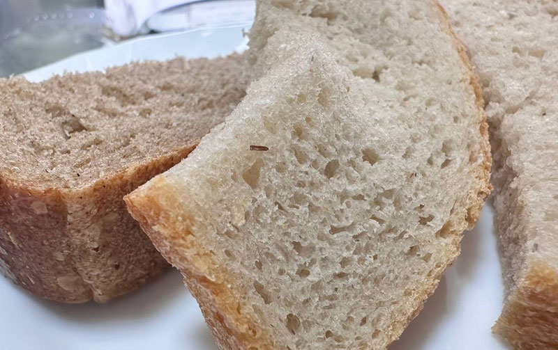 На Камчатке проверяют школу после сообщений о хлебе с личинками в столовой | В школах Камчатского края проверяют питание из-за подозрительного хлеба