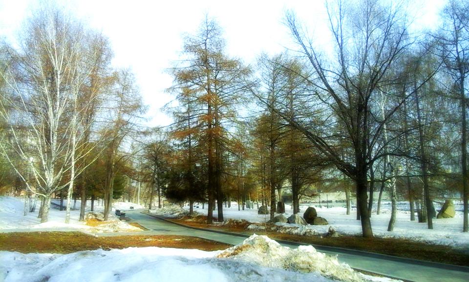 В Екатеринбург идет весеннее потепление