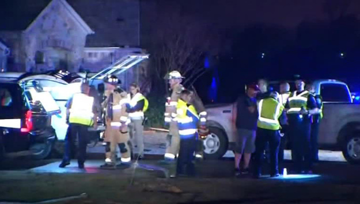 Собака спасла девочек, в которых попала молния