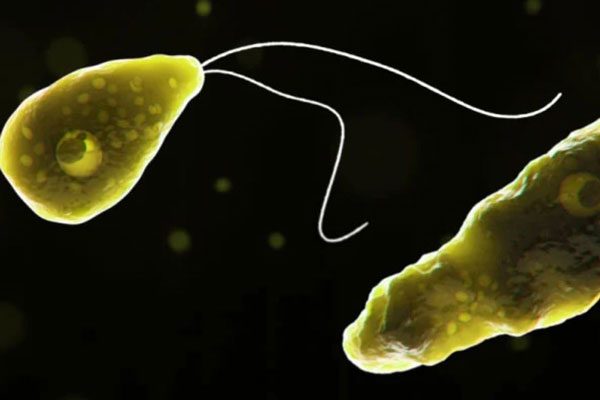 Паразит попадает в организм через нос: в Пакистане мужчина скончался, заразившись «поедающей мозг» амёбой