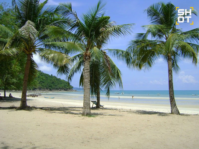 Отдых в Таиланде обернулся болезнью: туристку укусил клещ на пляже Сай Кео | Российская туристка заразилась боррелиозом после укуса клеща в Паттайе