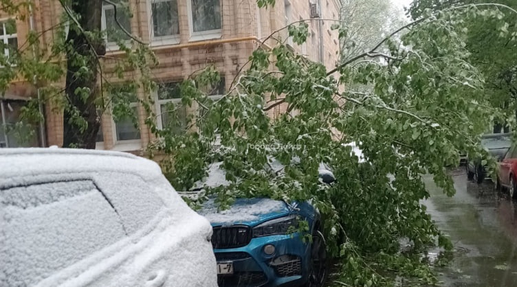 Снегопад в Москве привел к массовым повреждениям машин и сбоям в движении транспорта | В Москве из-за снегопада деревья массово попадали на машины