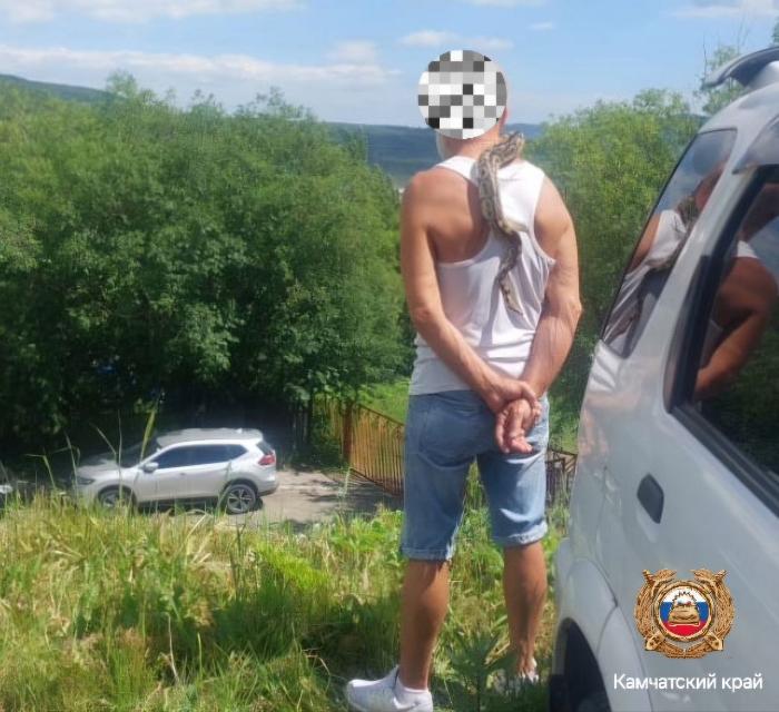 Приехал пьяным и со змеей: на Камчатке 63-летний гражданин хотел вернуть права, но попал под арест | На Камчатке пьяный водитель с змеей попытался оспорить лишение прав