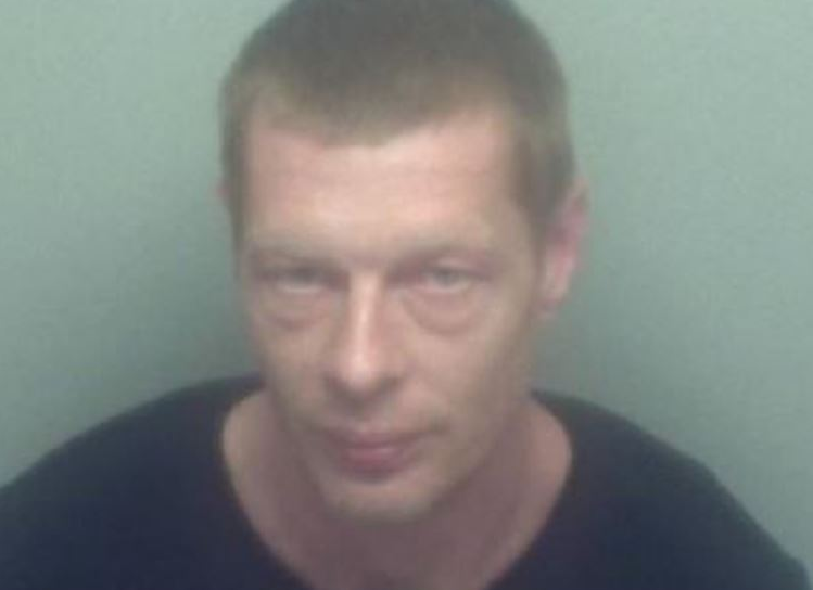 Попугай помог британским полицейским задержать серийного домушника