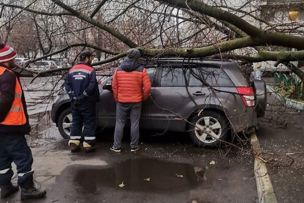 В столице из-за сильного ветра двое человек погибли, 15 пострадали | Сильный ветер в Москве: два человека погибли, 15 пострадали