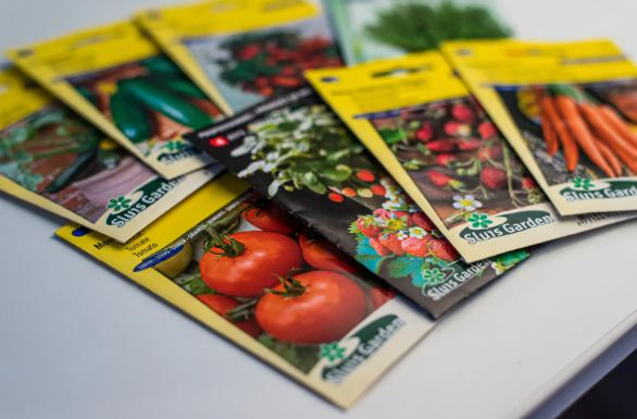 Почему весной не всходит рассада: типичные ошибки дачников