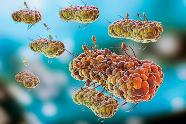 В Индии подросток скончался из-за заразившей мозг амёбы