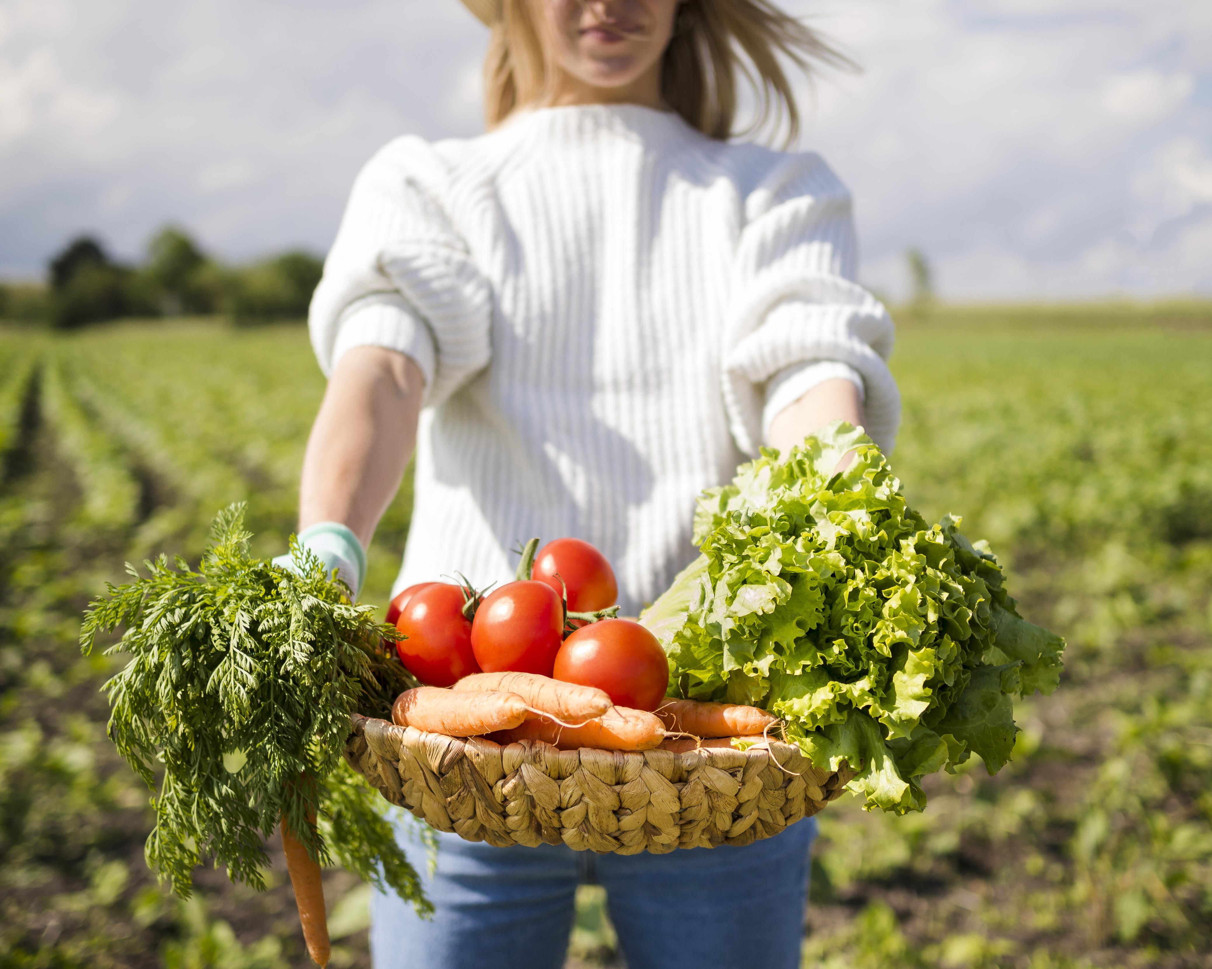 Вы собираете урожай слишком рано — и сами лишаете себя вкуса (ошибка 90%)