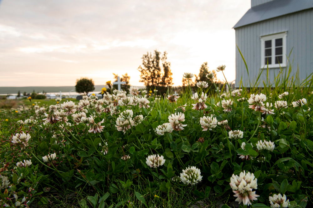 Дачникам напомнили, в каких случаях потребуется согласие соседей