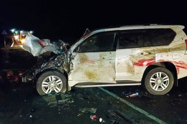 В Оренбургской области водитель внедорожника врезался в табун, погибли 14 лошадей