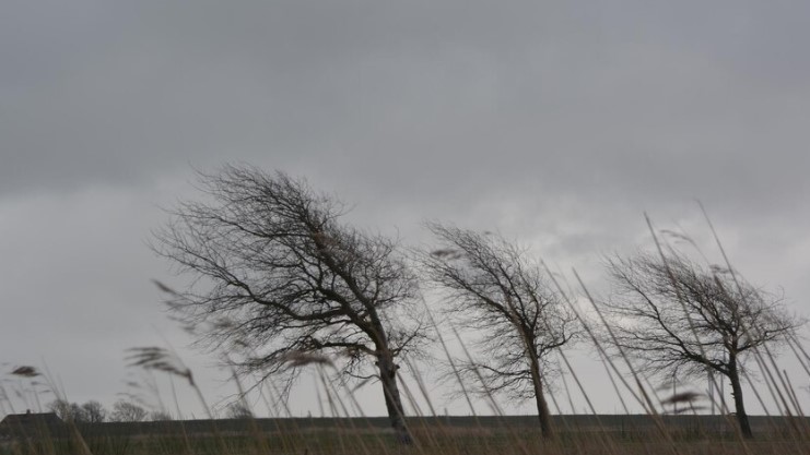 Ураган в Волгограде сорвал крыши, обрушил кран и оставил город без воды | В Волгоградской области ураган повалил ЛЭП и кран в речном порту