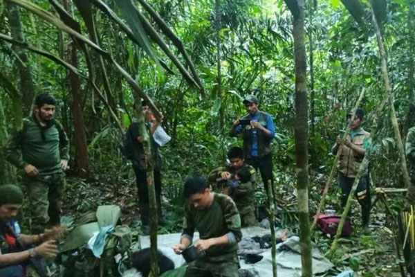 В джунглях Колумбии нашли детей, пропавших больше месяца назад после авиакрушения