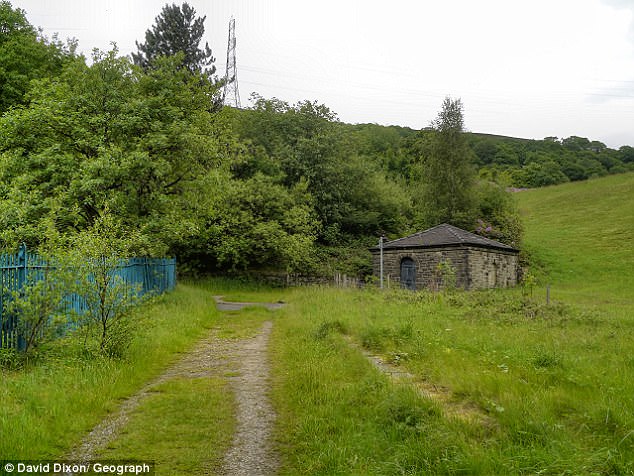 Девушка умоляла 2-летнего сына продолжать играть в парке, пока её насиловали