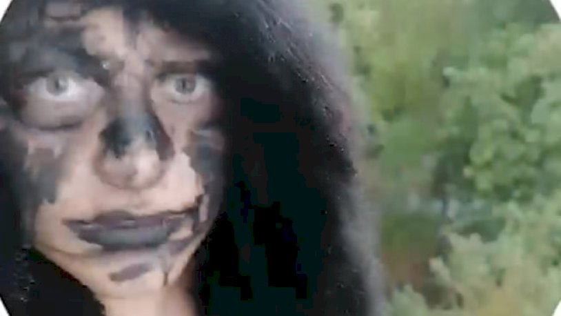 Очевидцы спасли всех котов из квартиры, где над ними издевался 13-летний парень в шубе и женском белье