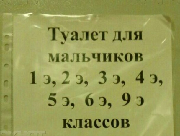 В ростовской школе обнаружили туалет для «элитных» детей
