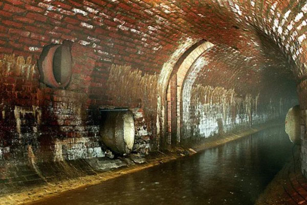 Найдены тела всех восьми участников экскурсии по коллекторам в Москве