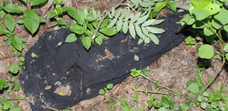 В Тверской области в рамках расследования уголовного дела обнаружено тело несовершеннолетней, пропавшей в марте 2015 года