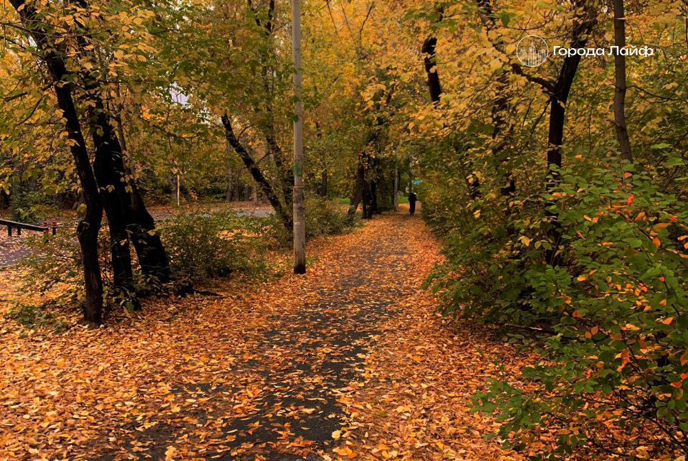 Жителей столицы ждёт ясная погода: прогноз Гидрометцентра | Высокое давление принесёт ясную погоду в Москве на следующей неделе