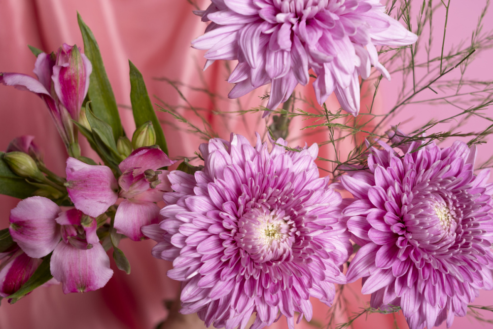 Магазин, отказавший мальчику в цветах к 8 Марта, извинился и подарил семье два букета | Магазин извинился перед мальчиком за отказ продать цветы к 8 Марта Магазин, отказавший мальчику в цветах к 8 Марта, извинился и подарил семье два букета | Магазин извинился перед мальчиком за отказ продать цветы к 8 Марта