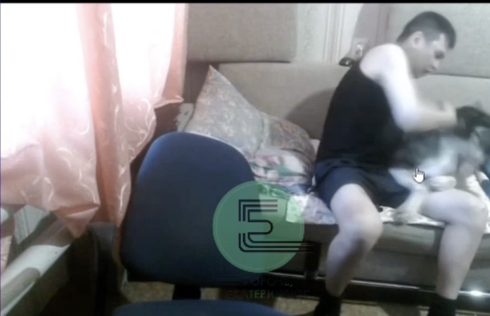 Блогер из Нижнего Тагила в прямом эфире избил свою собаку