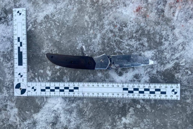 Житель Норильска зарезал сожительницу и ранил её сына по просьбе покойной матери | Пьяный житель Норильска зарезал возлюбленную и ранил её сына