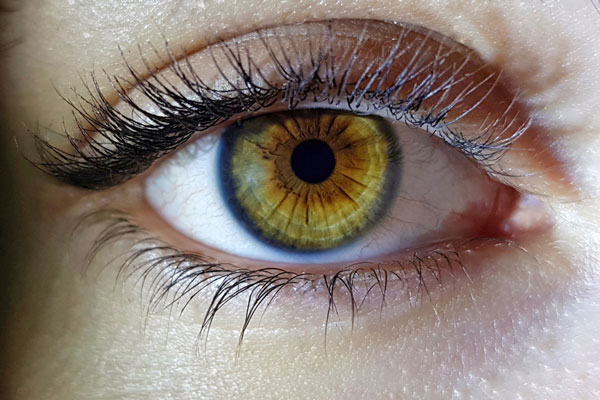 Почему использование чайных заварок для глаз — не лучшая практика: советы врача-офтальмолога | «Это прошлый век»: доктор рассказал, почему не стоит промывать глаза заваркой