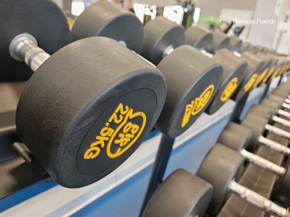 Воскресший фермер из США рассказал о своем опыте жизни после смерти | Фермер из США пережил смерть и вернулся с посланием с того света