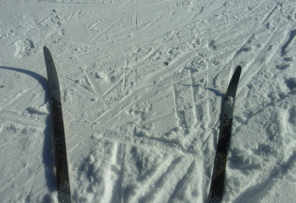 Власти Ревды посвятили «Лыжню России» губернатору Куйвашеву