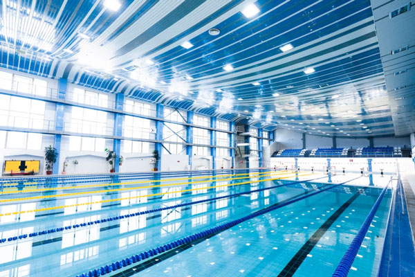 От отжиманий к кролю: как изменится школьная физкультура с введением плавания - польза, планы и сложности | Плавание в расписании: как изменится урок физкультуры в российских школах? От отжиманий к кролю: как изменится школьная физкультура с введением плавания - польза, планы и сложности | Плавание в расписании: как изменится урок физкультуры в российских школах?