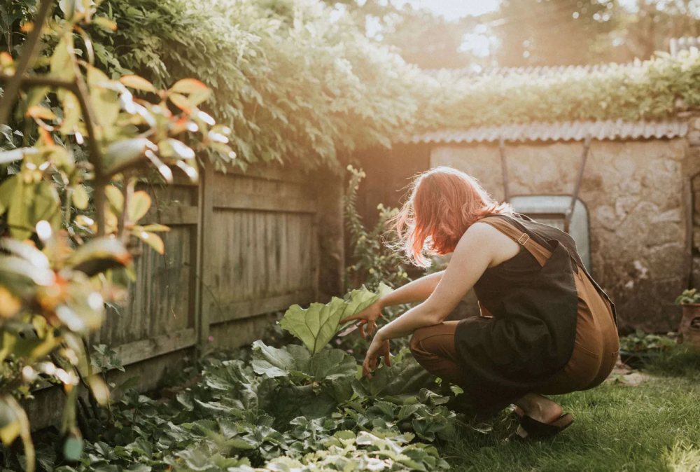 15 лет — и дом ваш: как оформить бесхозную недвижимость по приобретательной давности